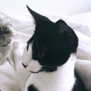 Meet your Posher, Jamal